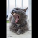 immersedmouse avatar