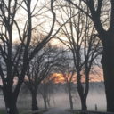 immerzweitewahl avatar