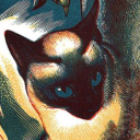 immortal-ideation avatar