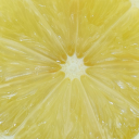 immortalacorn avatar