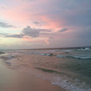 immortalflowers999 avatar