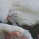 immortalfrom95 avatar