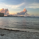 immortality-em avatar