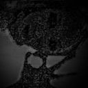 immortalitysblog-blog avatar