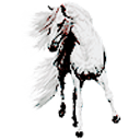 immortalmuses avatar