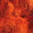 immortalnygga avatar