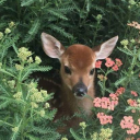 immovableobject67 avatar