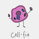 immuno-studies avatar