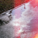 immutable-universe avatar