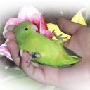 imnotdrinking avatar