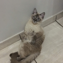 imnothekindofool avatar