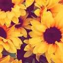 imnotyour-kindof-girl avatar