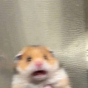 imokay-areyou avatar