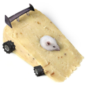 impalardison221b-blog avatar