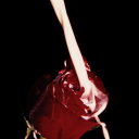 imperialr0ses avatar