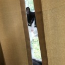 imperialtommy avatar