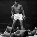 imperiousness avatar