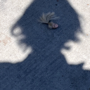 imperviousthot avatar