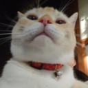 importantconnoisseurwhispers avatar