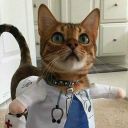 importantkidmilkshake avatar