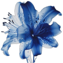 importantpeachfury avatar