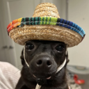 importantpics avatar