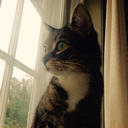 importanttotheuniverse avatar