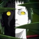 importantturtlethinghorse-blog avatar