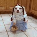 impossiblyspookytidalwave avatar