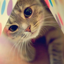 impossivelserfelizsozinha avatar