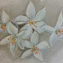 impracticalromantic avatar