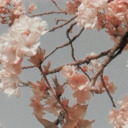 impromptu-prompts avatar