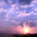 imqueerandilikecats avatar