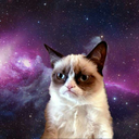 imsodonesnake avatar