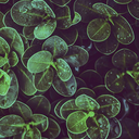 imsorryformyweirdshit avatar