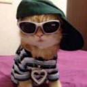 imstillwork-ingonit avatar