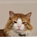 imthedoctorbasicallyfunreads avatar