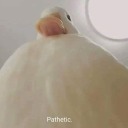 imtired-ofy0urbs avatar