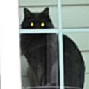 imtiredpleasejustgoaway avatar