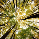 imyourbabygirl20 avatar