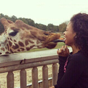 imyourbeautifulnightmaree avatar