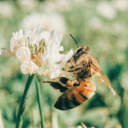 in-constant-uhtceare avatar