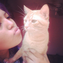 in-fashion-words avatar