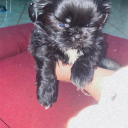 in-l0v3-with-you avatar