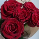 in-my-stupid-mind-k avatar