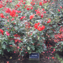 in-our-orbit-77 avatar