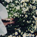 in-that-moment-we-are-infinite avatar