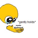 in-the-homophobic-vase avatar