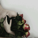 in-this-noise avatar