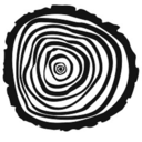 in-widening-circles-blog avatar